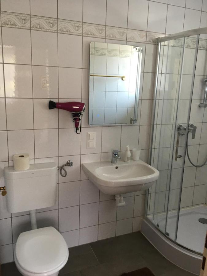 イップス・アン・デア・ドナウ Lindenhof Ybbs Bed & Breakfast エクステリア 写真